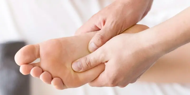 Les métatarsiens du pied